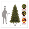 Pre-Lit Northern Fraser Tree, 57" x 57" x 90", Green Tree, Green Tree Stand