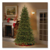 Pre-Lit Northern Fraser Tree, 57" x 57" x 90", Green Tree, Green Tree Stand