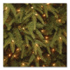 Pre-Lit Northern Fraser Tree, 57" x 57" x 90", Green Tree, Green Tree Stand
