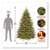 Pre-Lit Nordic Spruce Medium Tree, 60" x 60" x 90", Green Tree, Green Tree Stand