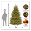 Pre-Lit Nordic Spruce Medium Tree, 69" x 69" x 108", Green Tree, Green Tree Stand