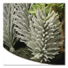 Spring Potted Plant, 8" x 8" x 8", Green Plant, White Pot