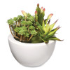 Spring Potted Plant, 8" x 8" x 8", Green Plant, White Pot