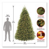 Pre-Lit Dunhill Fir Tree, 66" x 66" x 108", 1,100 Clear Lights, Green Tree, Green Tree Stand