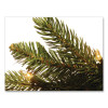 Pre-Lit Grande Fir Medium Tree, 50" x 50" x 90", Green Tree, Green Tree Stand