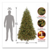 Pre-Lit Jersey Fraser Fir Medium Tree, 48" x 48" x 78", Green Tree, Green Tree Stand