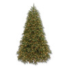 Pre-Lit Jersey Fraser Fir Medium Tree, 48" x 48" x 78", Green Tree, Green Tree Stand