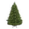 Norway Fir Tree, 58" x 58" x 84", Green Tree, Green Tree Stand