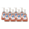 Antibacterial Defense Foaming Hand Wash, Original Scent, 10 Oz Pump Bottle, 8/Carton