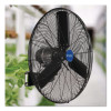2 Speed Oscillating Outdoor Rated Wall Mount Fan, 30", Black