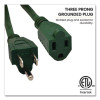 16 Awg Outdoor Extension Cord, 80 Ft, 10 A, Green