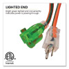 14 Awg Lighted End Heavy-Duty Extension Cord, 25 Ft, 15 A, Orange/Black