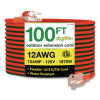 12 Awg Lighted End Heavy-Duty Extension Cord, 100 Ft, 15 A, Orange/Black
