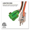 12 Awg Lighted End Heavy-Duty Extension Cord, 100 Ft, 15 A, Orange/Black