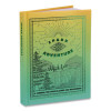 Guided Journal: Spark Adventure - A Journal For Trailblazers And Wanderers, Green/Gold Cover, (88) 8 x 6 Sheets