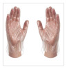 Polyethylene Food Safe Industrial Gloves, Powder-Free, Large, Clear, 500/Box, 20 Boxes/Carton