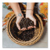 Liga Privida Coffee Pods, 18/Box