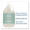 Terra Pure Body Wash Gallon, Green Tea Lemongrass Scent, 1 Gal Bottle