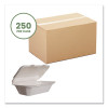 Nourish Molded Fiber Takeout Containers, Compostable, 5 x 9 x 2, White, Sugarcane, 250/Carton