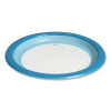 Heavy-Weight Paper Plates, 10" Dia, White/Blue, 125/Pack