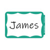 Self-Adhesive Name Badges, 3.5 X 2.25, Green, 100/Box