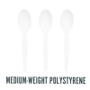 Mediumweight Plastic Cutlery, Spoon, Plastic, White, 1,000/Pack