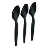 Heavyweight Plastic Cutlery, Spoon, Plastic, Black, 100/Pack