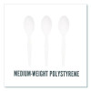 Mediumweight Plastic Cutlery, Spoon, Plastic, White, 300/Pack