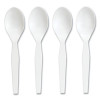Mediumweight Plastic Cutlery, Spoon, Plastic, White, 300/Pack