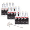Symplicity Sanibet Multi-Range Sanitizer Disinfectant Deodorizer, 32 Oz Bottle, 12 Bottles And One Trigger Sprayer/Carton