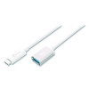 Usb-C To Usb Adapter, 4", Silver/White