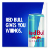 Sugar-Free Energy Drink, 12 Oz Can, 24/Carton