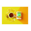 Probiotics Lemon And Ginger Herbal Tea Bags, 0.05 Oz, 18/Box