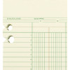 Accounting Sheets, 24 Columns, 11 X 14, Green, Loose Sheet, 100/Pack