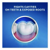 Cavity Protection Toothpaste, Regular, 4.2 Oz Tube