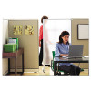 Premium Workstation Privacy Screen, 38w X 64d, Translucent Clear/Silver