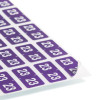 Yearly End Tab File Folder Labels, 23, 0.5 x 1, Purple, 25/Sheet, 10 Sheets/Pack