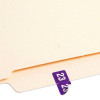 Yearly End Tab File Folder Labels, 23, 0.5 x 1, Purple, 25/Sheet, 10 Sheets/Pack
