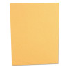 Catalog Envelope, 28 Lb Bond Weight Kraft, #13 1/2, Square Flap, Gummed Closure, 10 x 13, Brown Kraft, 250/Box