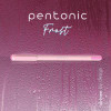 Pentonic Gel Pen, Stick, Fine 0.7 Mm, Red Ink, Pale Pink Barrel, 10/Pack
