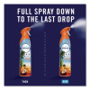 Air, Hawaiian Aloha, 8.1 Oz Aerosol Spray