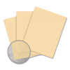 Exact Vellum Bristol Cover Stock, 67 Lb Bristol Weight, 8.5 x 11, Ivory, 250/Pack