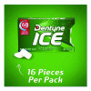 Sugarless Gum, Spearmint, 16 Pieces/Pack, 9 Packs/Box