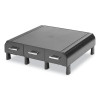 Perch Monitor Stand And Desk Organizer, 13.46" x 12.87" x 2.72", Black/Silver