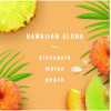 Plug Air Freshener Refills, Hawaiian Aloha, 0.87 Oz, 3/Pack