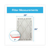Allergen Defense Air Filter, Merv 11, Mpr 1000, 20 x 25