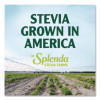 Stevia Sweetener Packet, 0.04 Oz, 400/Box
