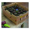 Red Packer Bands, Size 22, 5" x 0.06", 1 Lb Box
