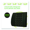 Back Support, 13.5 X 4 X 13.8, Black