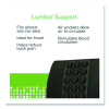 Back Support, 13.5 X 4 X 13.8, Black